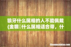 金貔恘什么属相适合带，什么属相不能佩戴狼牙 狼牙什么属相的人不能佩戴