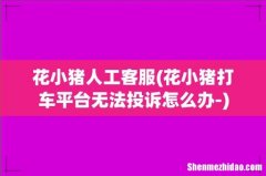 花小猪打车平台无法投诉怎么办- 花小猪人工客服