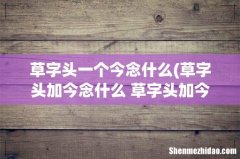 草字头加今念什么 草字头加今怎么读 草字头一个今念什么