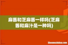 芝麻酱和麻汁是一种吗 麻酱和芝麻酱一样吗