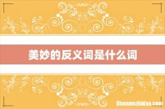 美妙的反义词是什么词