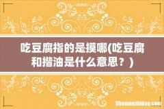 吃豆腐和揩油是什么意思？ 吃豆腐指的是摸哪