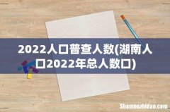 湖南人口2022年总人数口 2022人口普查人数