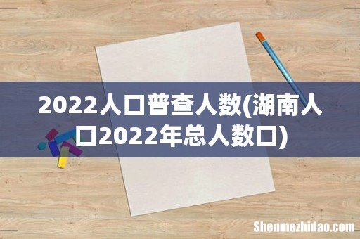 湖南人口2022年总人数口 2022人口普查人数