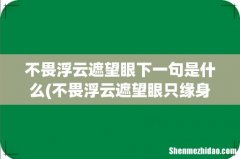 不畏浮云遮望眼只缘身在最高层全诗 不畏浮云遮望眼下一句是什么