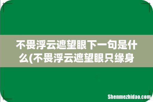 不畏浮云遮望眼只缘身在最高层全诗 不畏浮云遮望眼下一句是什么