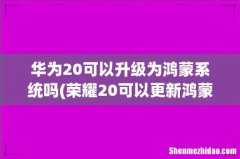 荣耀20可以更新鸿蒙系统了吗- 华为20可以升级为鸿蒙系统吗