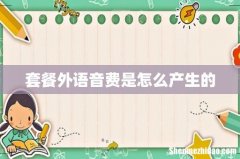 套餐外语音费是怎么产生的