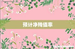 预计净残值率