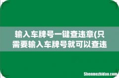 只需要输入车牌号就可以查违章 输入车牌号一键查违章
