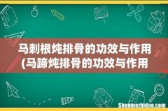 马蹄炖排骨的功效与作用 马刺根炖排骨的功效与作用