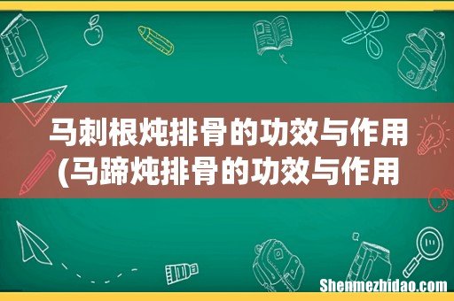 马蹄炖排骨的功效与作用 马刺根炖排骨的功效与作用