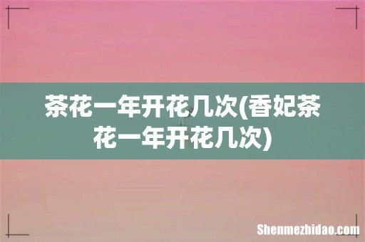 香妃茶花一年开花几次 茶花一年开花几次