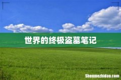 世界的终极盗墓笔记