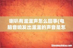 电脑音响发出滋滋的声音是怎么回事？ 喇叭有滋滋声怎么回事