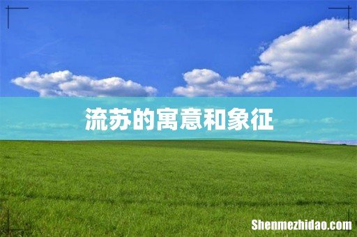流苏的寓意和象征