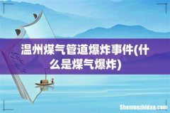 什么是煤气爆炸 温州煤气管道爆炸事件