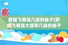 野蜂飞舞是大提琴几级的曲子，求1至10级大提琴考级曲 野蜂飞舞是几级的曲子