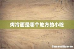 烤冷面是哪个地方的小吃