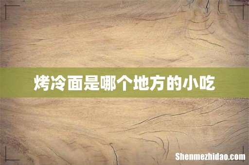 烤冷面是哪个地方的小吃