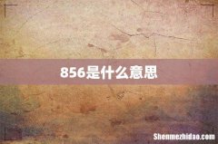 856是什么意思