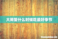 大闸蟹什么时候吃最好季节