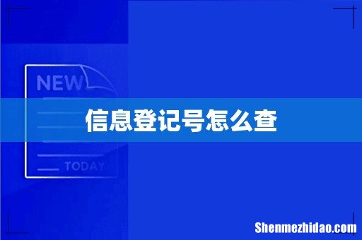 信息登记号怎么查