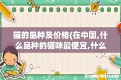 在中国,什么品种的猫咪最便宜,什么品种的猫咪最贵- 猫的品种及价格