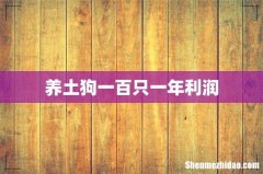 养土狗一百只一年利润