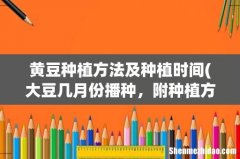 大豆几月份播种，附种植方法 黄豆种植方法及种植时间