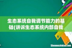 讲诉生态系统内部自我调节的作用- 生态系统自我调节能力的基础