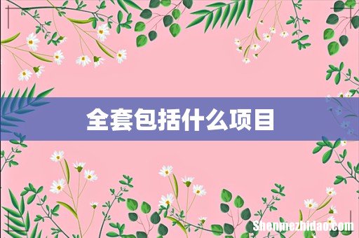 全套包括什么项目