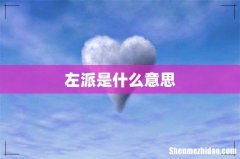左派是什么意思
