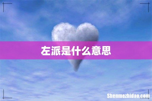 左派是什么意思