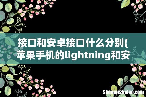 苹果手机的lightning和安卓的type-c有啥区别??? 接口和安卓接口什么分别