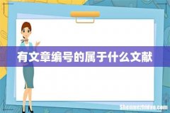 有文章编号的属于什么文献