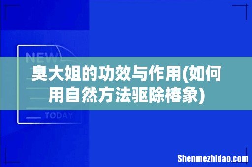 如何用自然方法驱除椿象 臭大姐的功效与作用