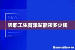 男职工生育津贴能领多少钱