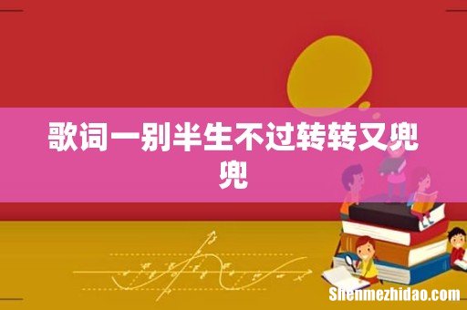 歌词一别半生不过转转又兜兜
