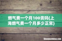 上海燃气费一个月多少正常 燃气费一个月100贵吗