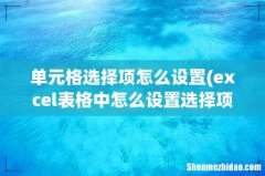 excel表格中怎么设置选择项 单元格选择项怎么设置