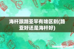 路亚好还是海杆好 海杆跟路亚竿有啥区别