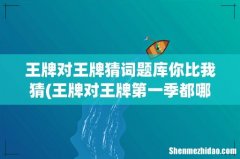王牌对王牌第一季都哪期有猜成语 王牌对王牌猜词题库你比我猜