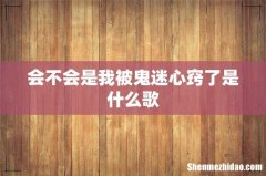 会不会是我被鬼迷心窍了是什么歌