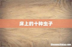床上的十种虫子