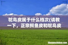 请教一下，正宗鳄鱼皮和鸵鸟皮的钱包哪个皮质更好一些？ 鸵鸟皮属于什么档次
