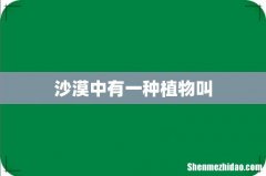 沙漠中有一种植物叫