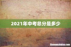 2021年中考总分是多少