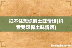 抖音我想你土味情话 扛不住想你的土味情话