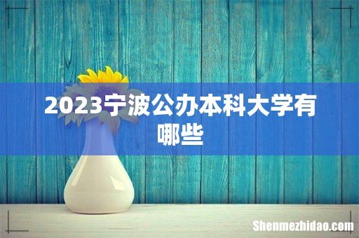 2023宁波公办本科大学有哪些
